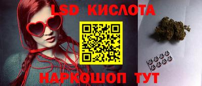 шишки Донской