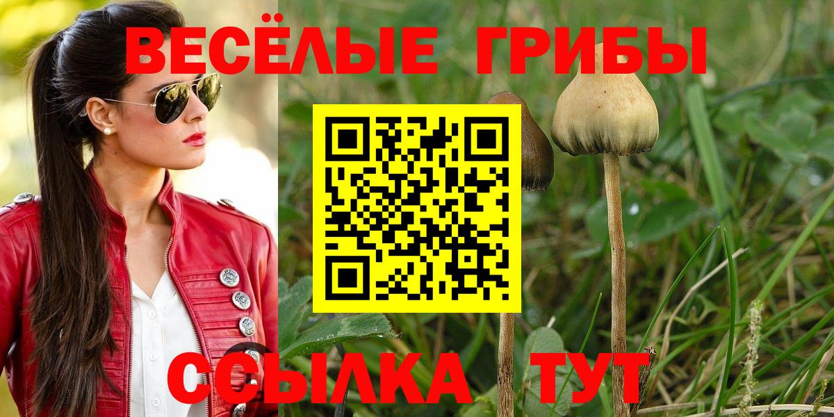 Псилоцибиновые грибы ЛСД  Вход с VPN  Нефтекумск  Псилоцибиновые грибы прущие грибы 